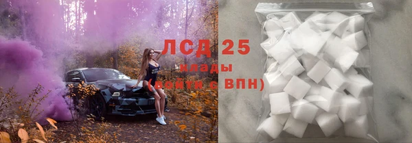 гашик Алзамай