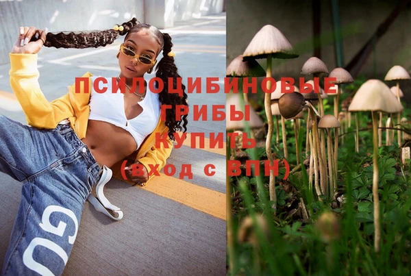 MDMA Алексеевка