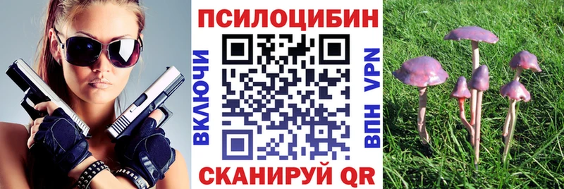 Галлюциногенные грибы Cubensis  Люберцы 
